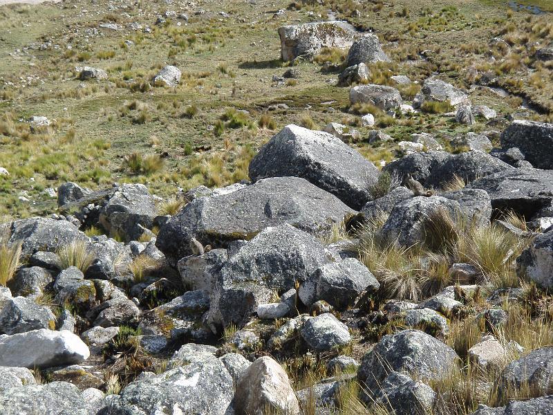 Illampu Trek (85).JPG